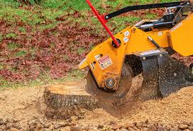 How Our Tree Care Process Works  in  Cleora, OK