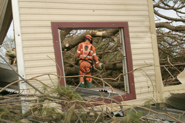 Best Emergency Tree Removal  in Cleora, OK