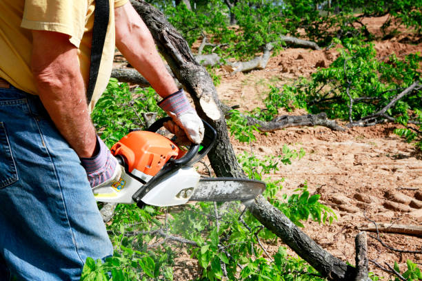  Cleora, OK Tree Services Pros